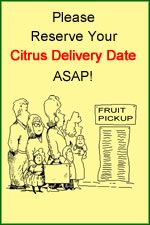 Citrus Fruit Delivery Date